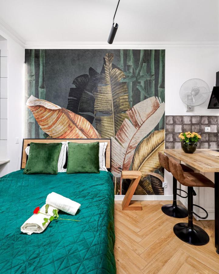 Jacuzzi & Bike Apartment, Krasków Εξωτερικό φωτογραφία